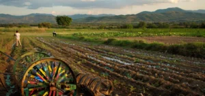 herramientas agricolas para pintar