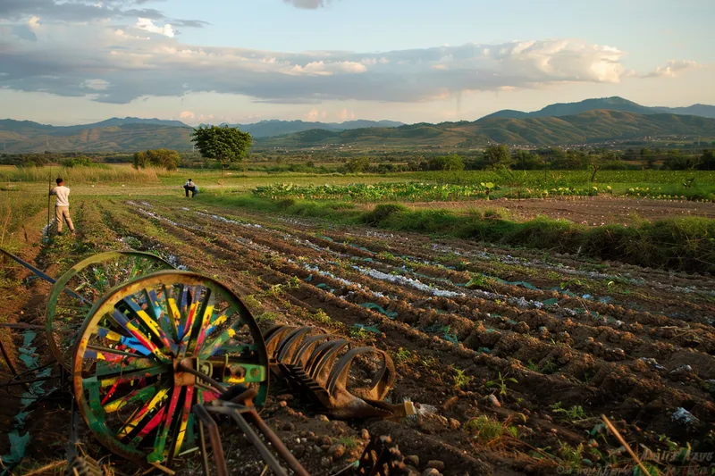 herramientas agricolas para pintar